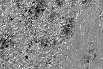 june-mc-3.jpg june-mc-3.jpg