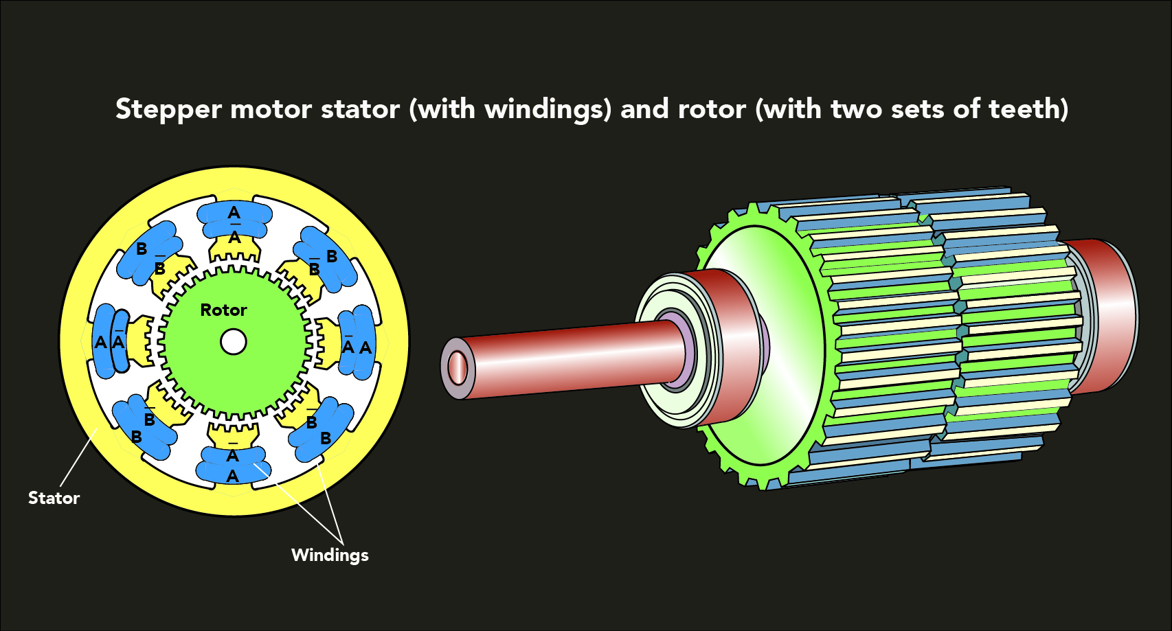 Shown here are the rotor and stator of a hybrid stepper motor. Two soft iron cups sport teeth to guide the flux from a permanent magnet to the rotor-stator air gap.