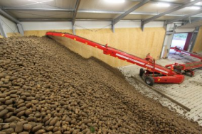Hengstler-potato-harvestin-extended